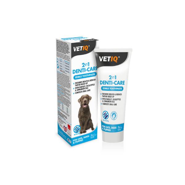 2IN1 DENTI CARE PASTE 70g 