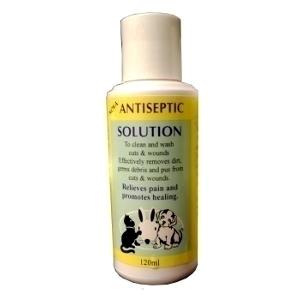 ANTISEPTIC SOLUTION 120ML 