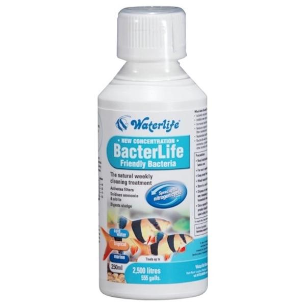 BACTERLIFE 500ml 