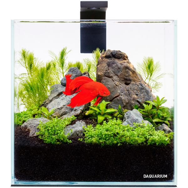 AQUARIUM SET PICO 5L