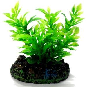 AQUATIC PLANTS SS - 4