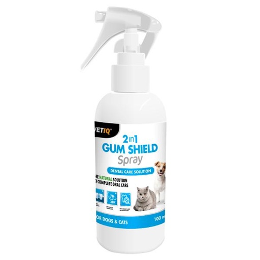 2IN1 GUM SHIELD SPRAY 100ml 