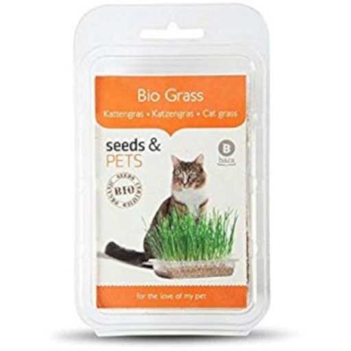 CAT GRASS KIT BIO 