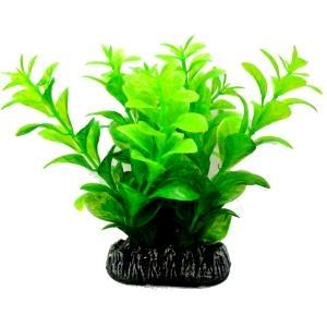 AQUATIC PLANTS MEDIUM - 7