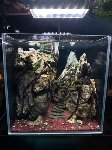 AQUASCAPE - WOODSTONE