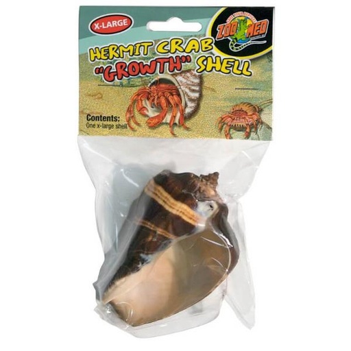 HERMIT CRAB GROWTH SHELL 1pcs - X-LARGE