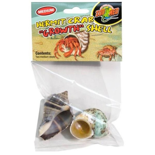 HERMIT CRAB GROWTH SHELL 2pcs - MEDIUM